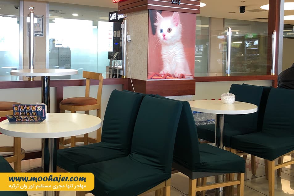 فرید ملن شهر وان ترکیه21 مهاجر سیر ایرانیان