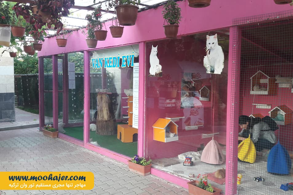 VAN KEDI EVI 16 مهاجر سیر ایرانیان