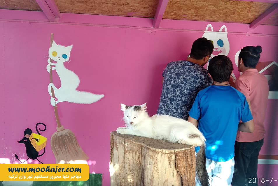 VAN KEDI EVI 18 مهاجر سیر ایرانیان