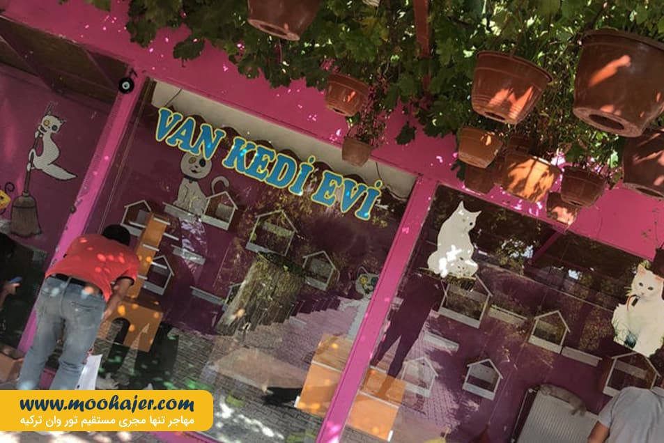 VAN KEDI EVI 5 مهاجر سیر ایرانیان
