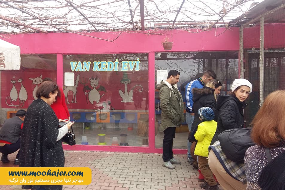 VAN KEDI EVI 7 مهاجر سیر ایرانیان