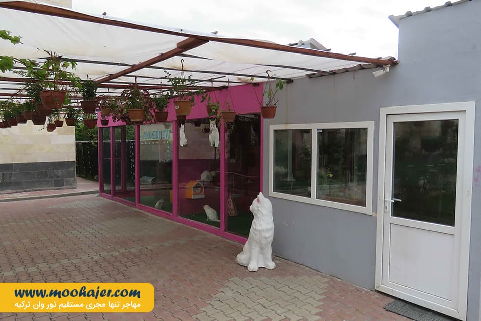 VAN KEDI EVI 9 مهاجر سیر ایرانیان