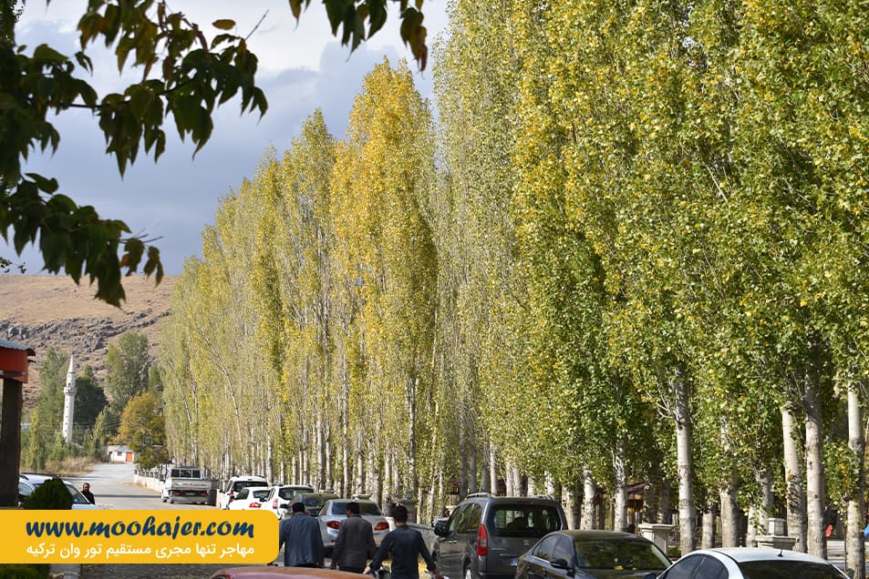 مرادیه 10 مهاجر سیر ایرانیان