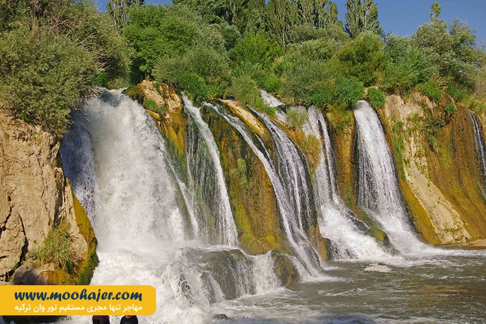 مرادیه 29 مهاجر سیر ایرانیان