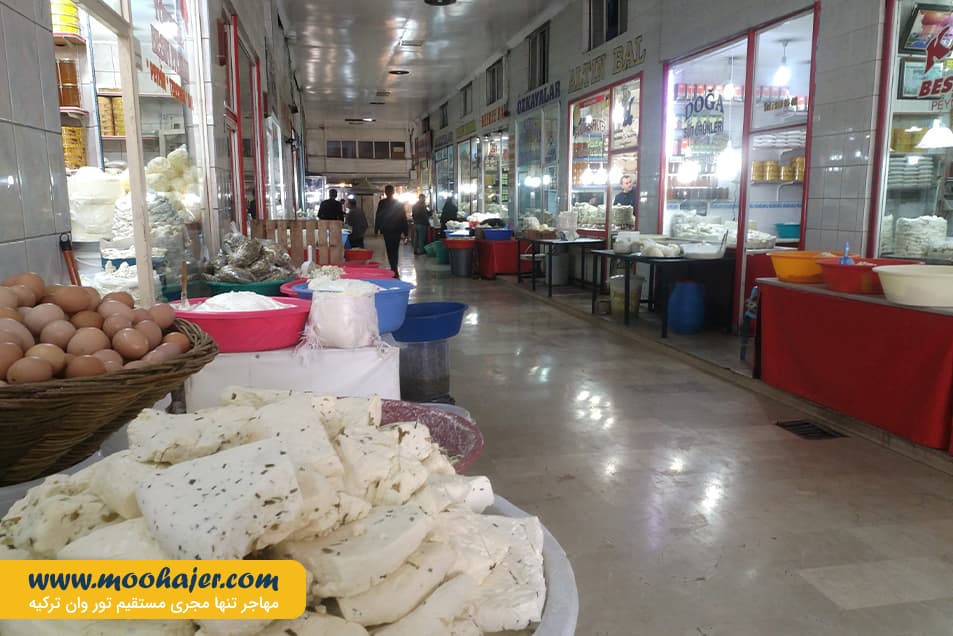 پنیر 1 مهاجر سیر ایرانیان