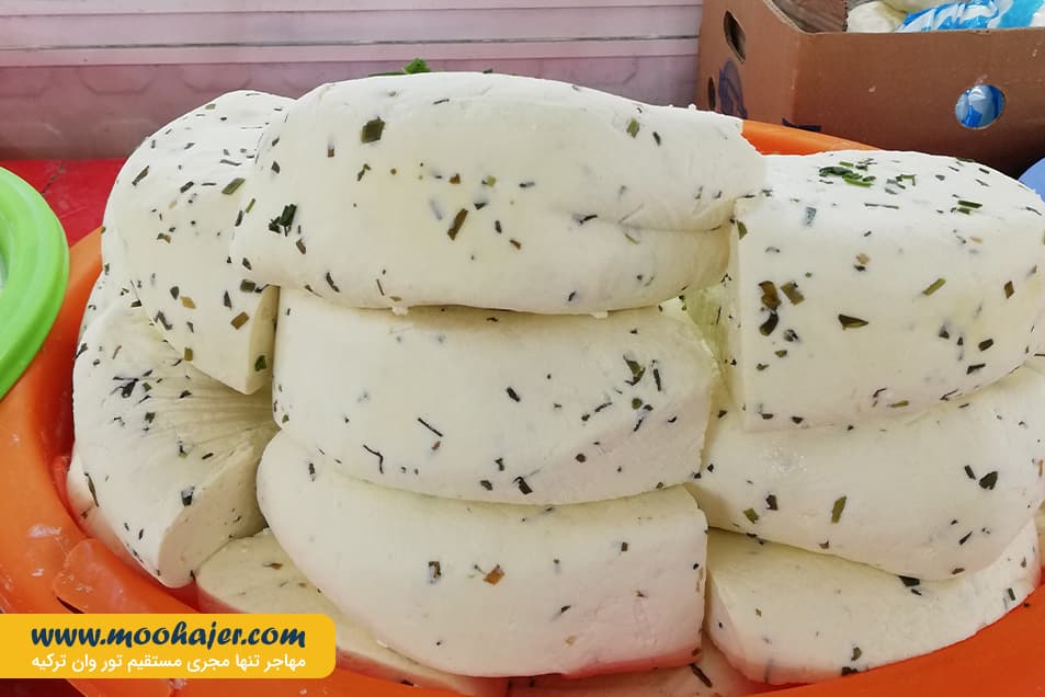 پنیر 10 مهاجر سیر ایرانیان