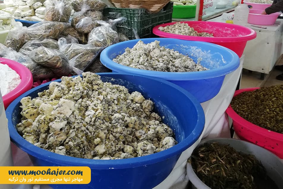 پنیر 11 مهاجر سیر ایرانیان