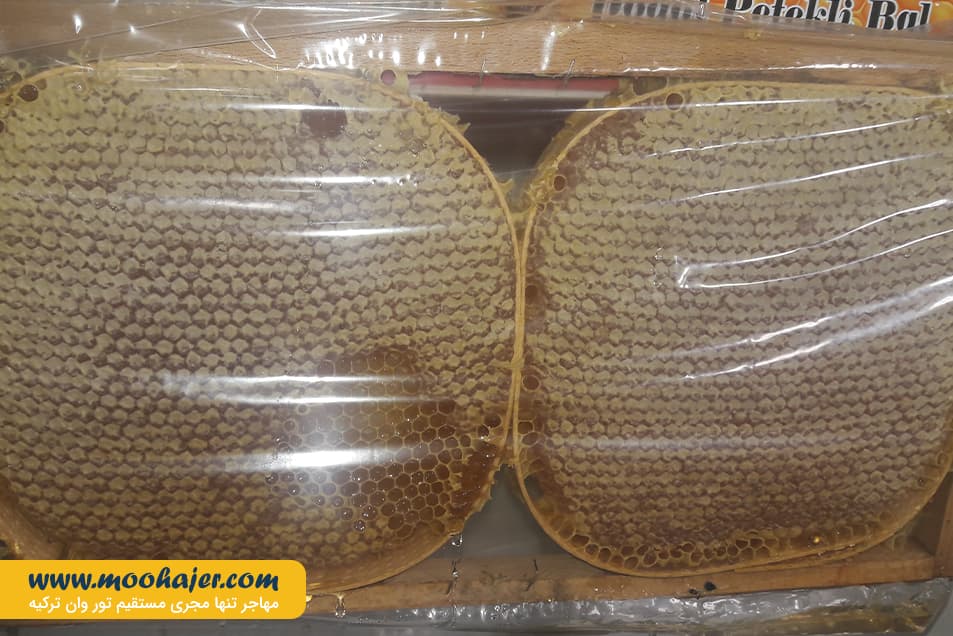 پنیر 12 مهاجر سیر ایرانیان