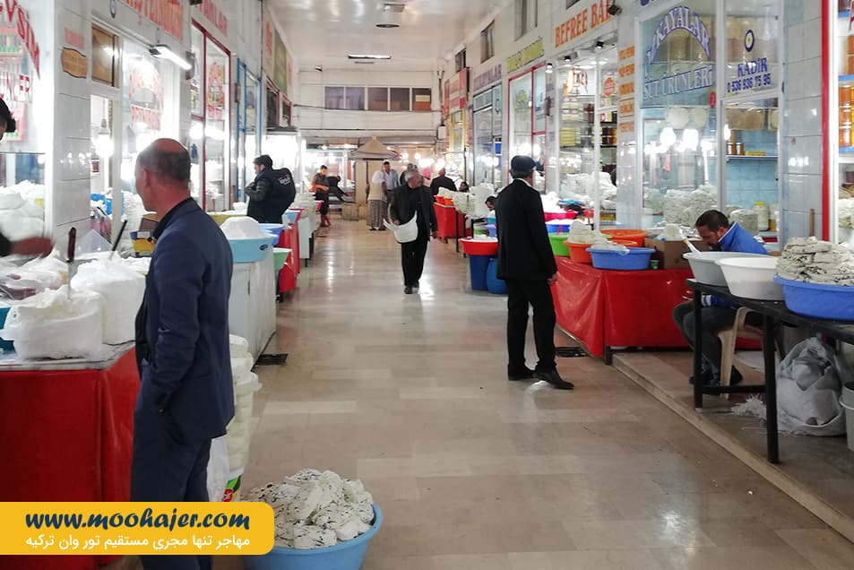 پنیر 14 مهاجر سیر ایرانیان