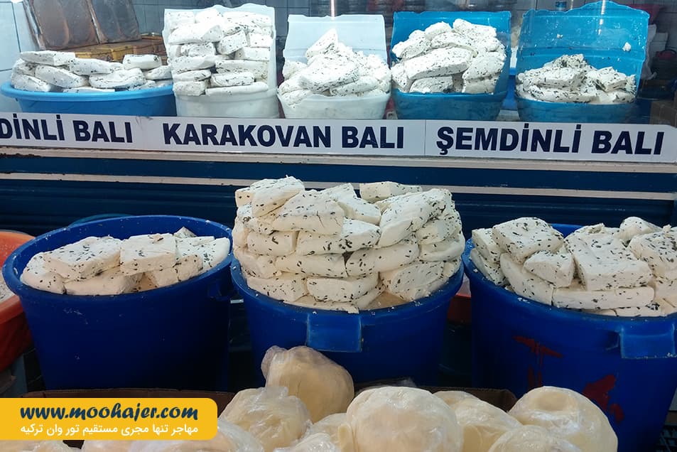 پنیر 15 مهاجر سیر ایرانیان