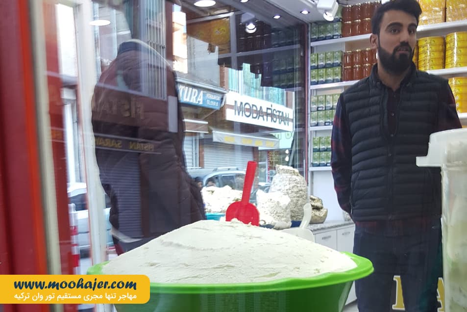 پنیر 2 مهاجر سیر ایرانیان