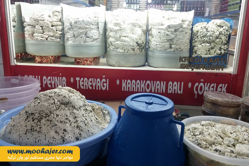 پنیر 3 مهاجر سیر ایرانیان