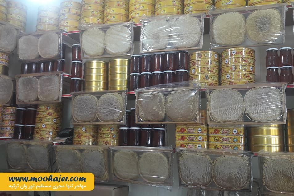 پنیر 4 مهاجر سیر ایرانیان