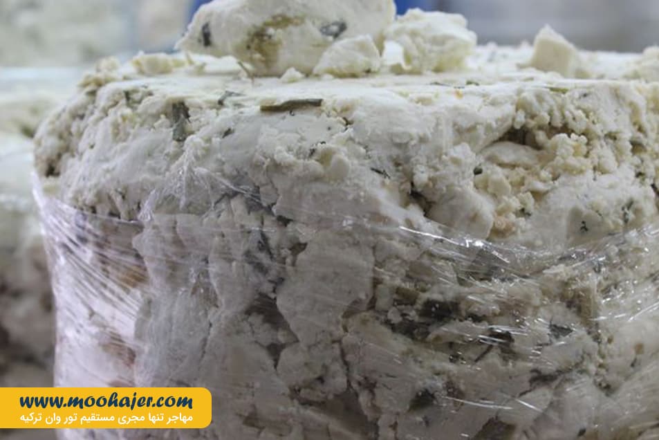 پنیر 5 مهاجر سیر ایرانیان