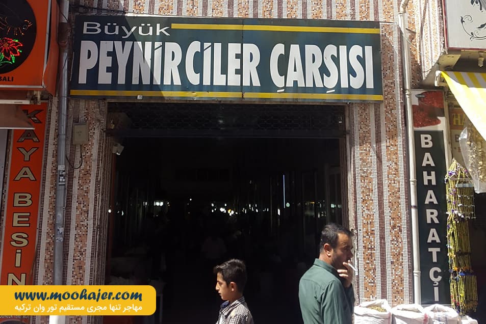 پنیر 6 مهاجر سیر ایرانیان