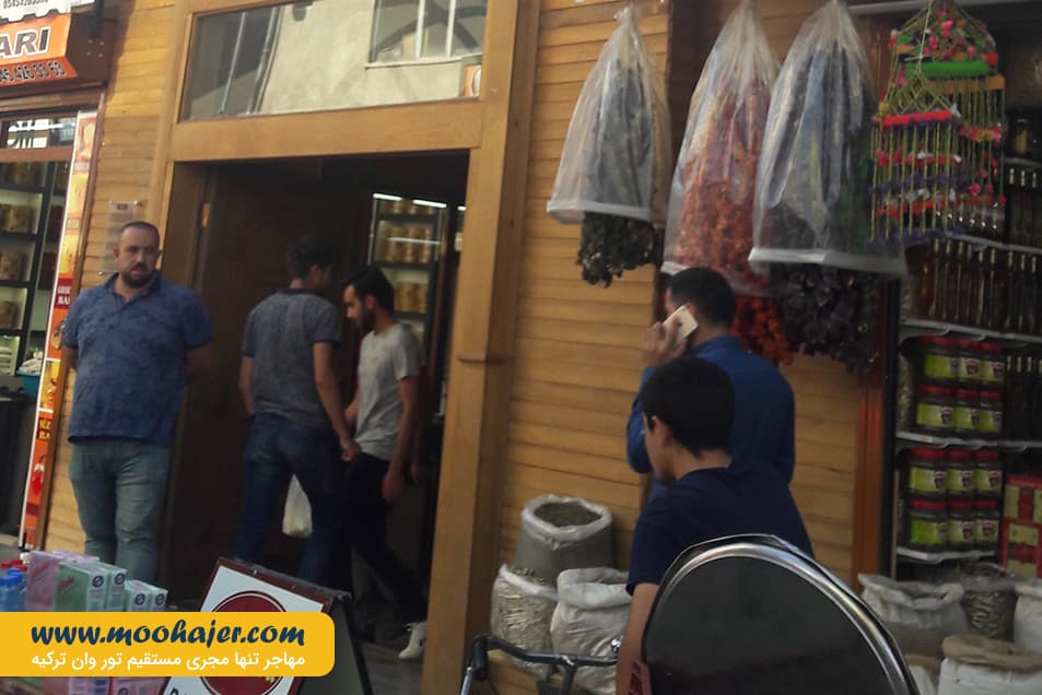 پنیر 7 مهاجر سیر ایرانیان