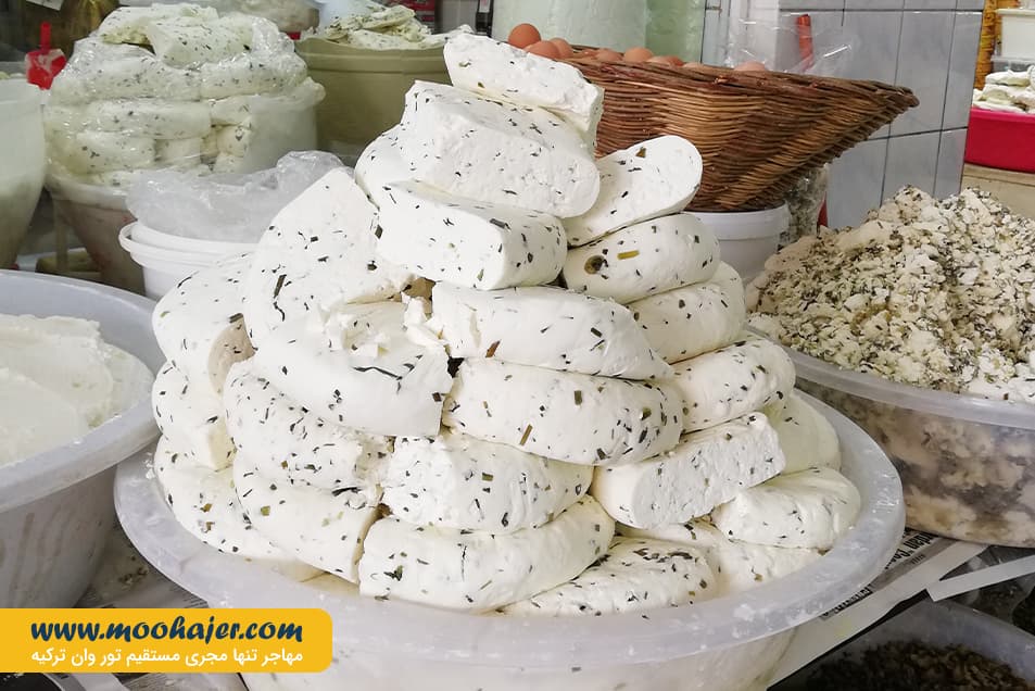 پنیر 8 مهاجر سیر ایرانیان