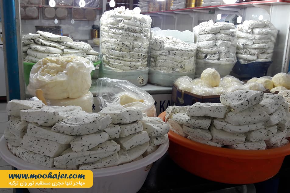 پنیر 9 مهاجر سیر ایرانیان