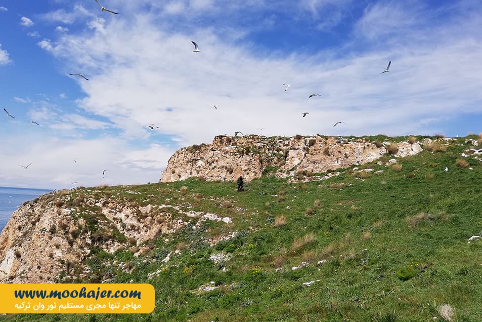 چارپاناک Çarpanak Island 15 مهاجر سیر ایرانیان