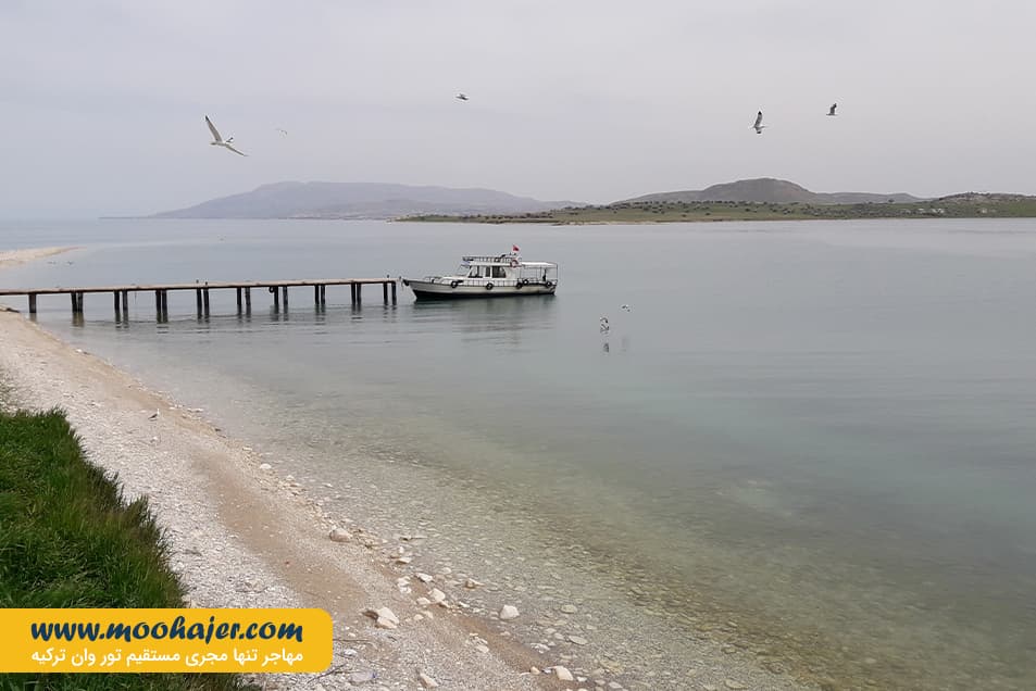 چارپاناک Çarpanak Island 9 مهاجر سیر ایرانیان