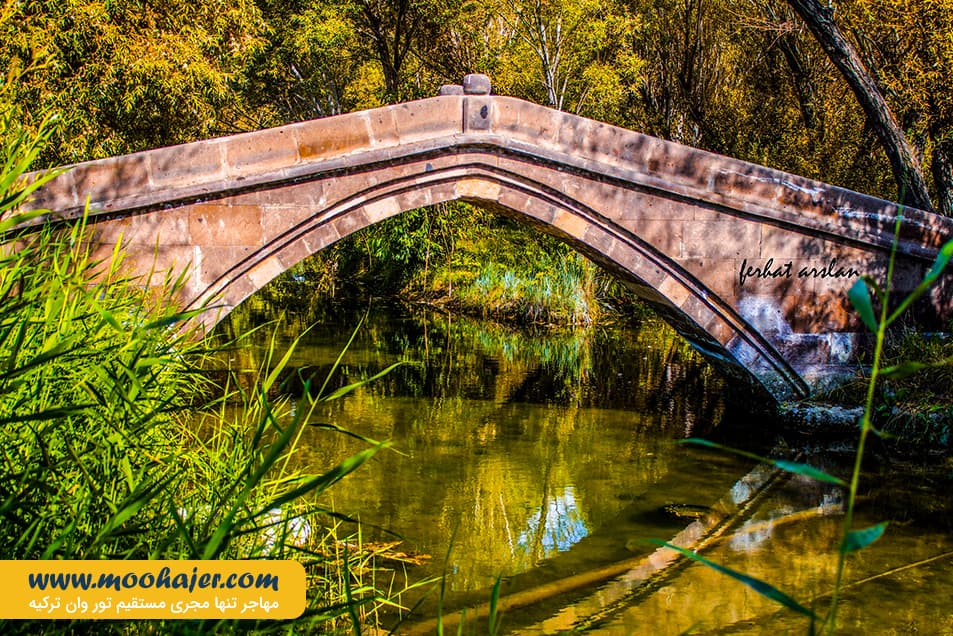 سنتی وان 18 مهاجر سیر ایرانیان