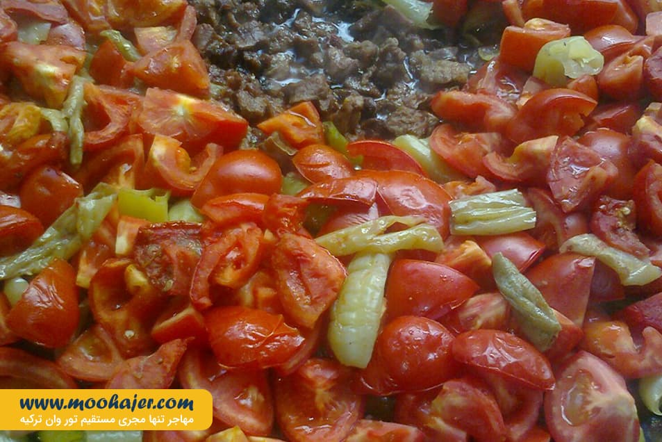 Birkoc Kavurma 6 مهاجر سیر ایرانیان