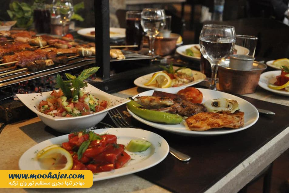 Tamara Ocakbaşı 8 مهاجر سیر ایرانیان