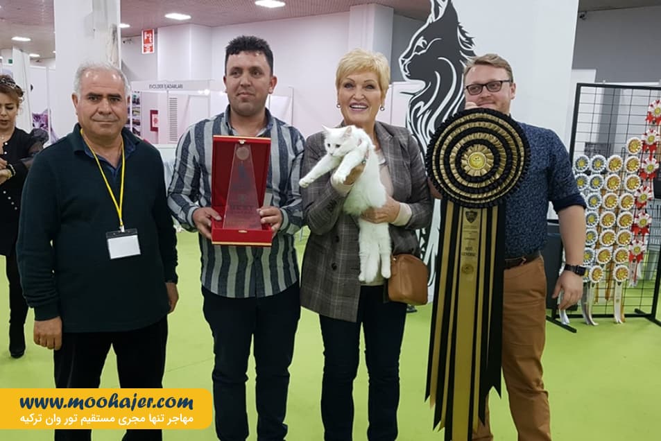 گربه جهان 12 مهاجر سیر ایرانیان