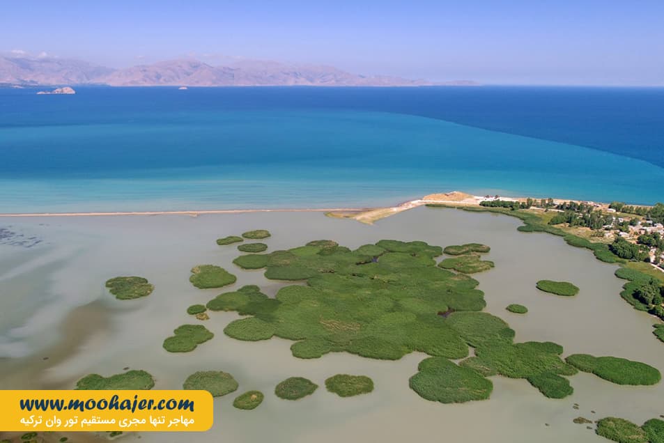 دریاچه وان17 مهاجر سیر ایرانیان