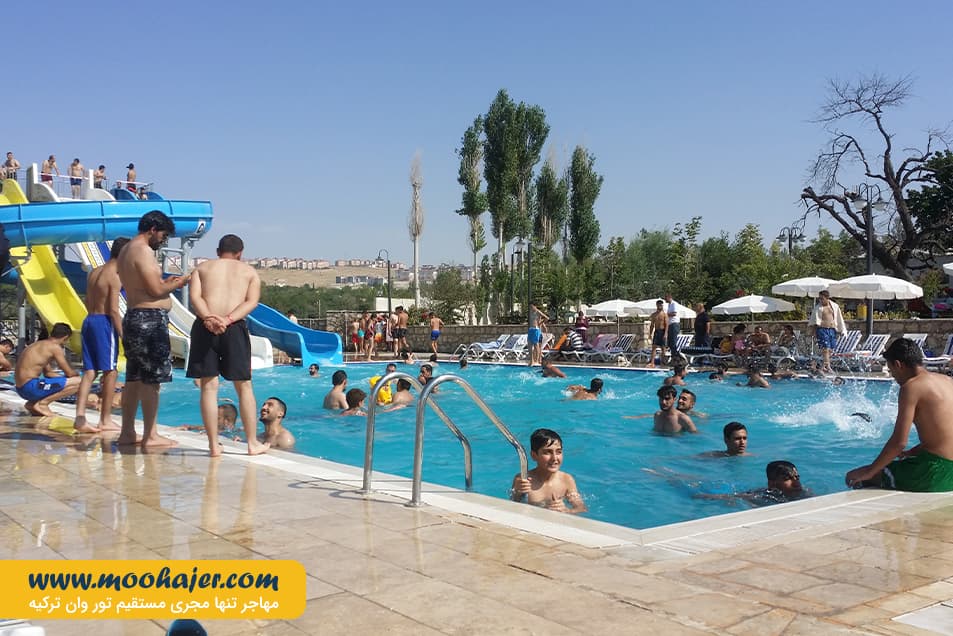 آبی ساحلی دیوان12 مهاجر سیر ایرانیان