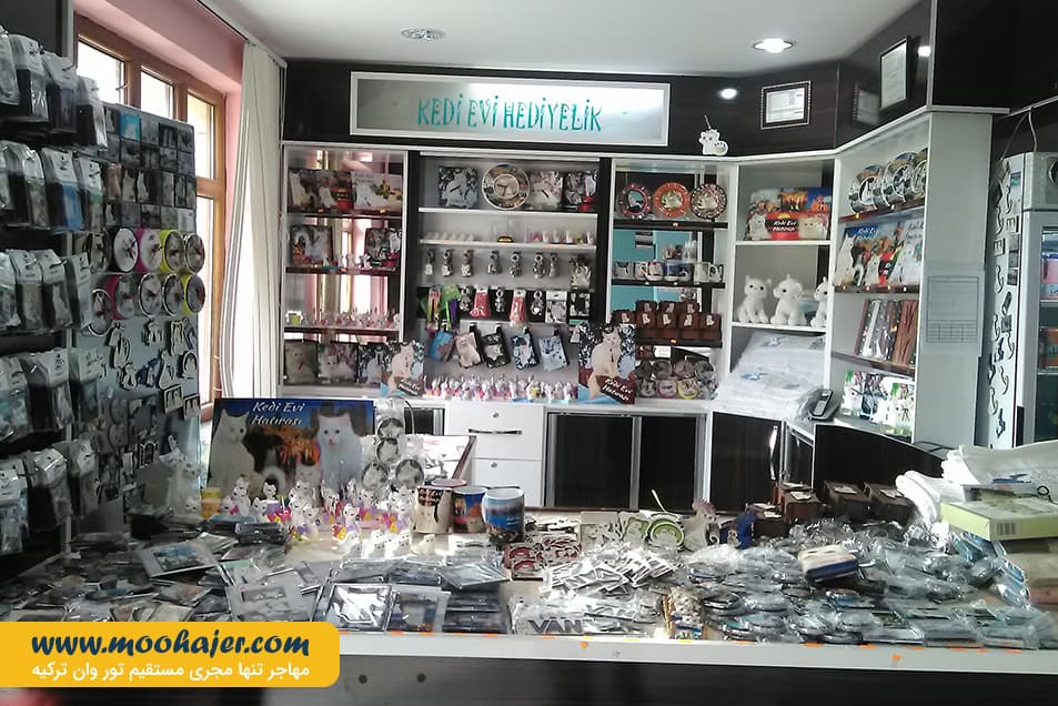 های وان 10 مهاجر سیر ایرانیان