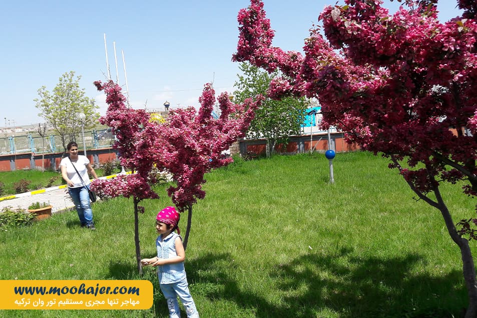 های وان 16 مهاجر سیر ایرانیان