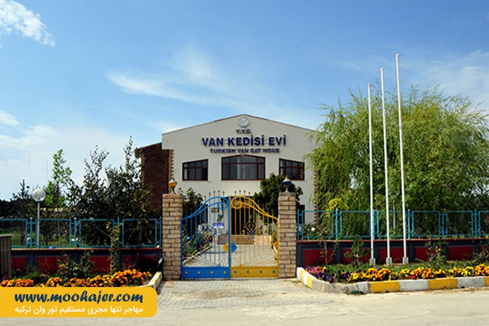 های وان 19 مهاجر سیر ایرانیان