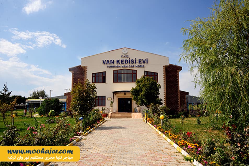 های وان 20 مهاجر سیر ایرانیان