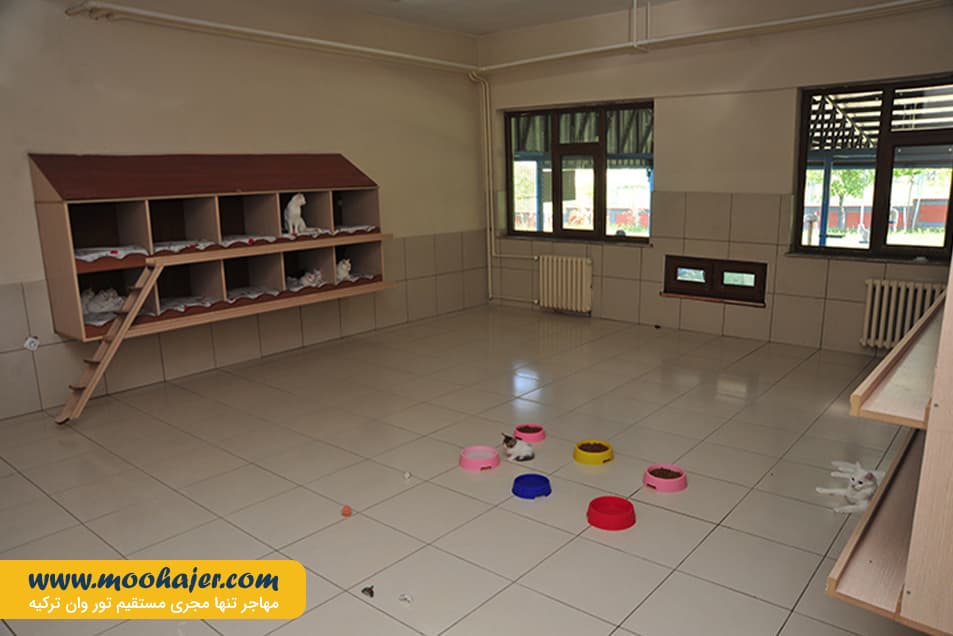 های وان 22 مهاجر سیر ایرانیان