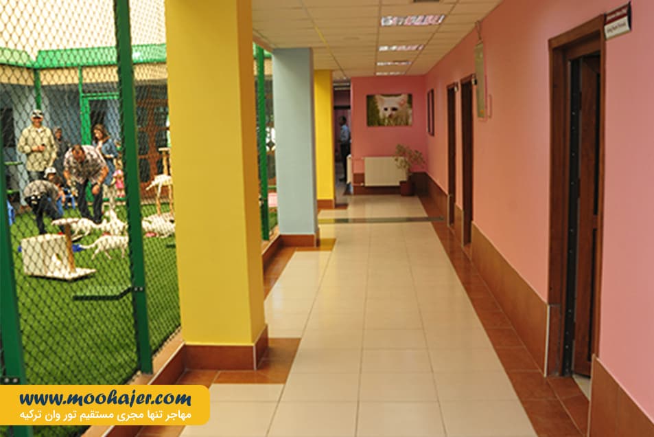 های وان 25 مهاجر سیر ایرانیان