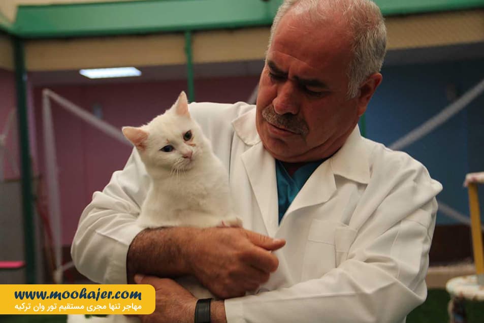 های وان 34 مهاجر سیر ایرانیان