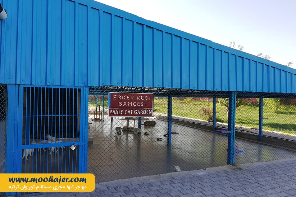 های وان 7 مهاجر سیر ایرانیان