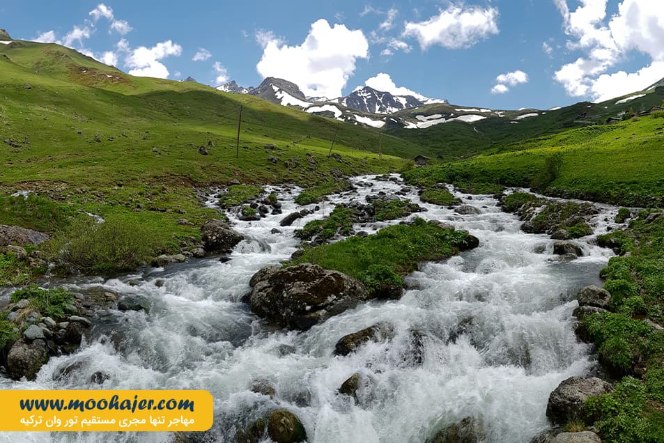 گول 11 مهاجر سیر ایرانیان