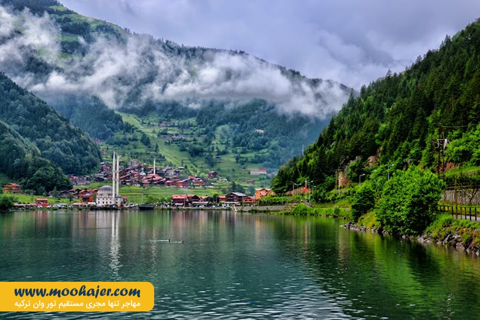 گول 12 مهاجر سیر ایرانیان