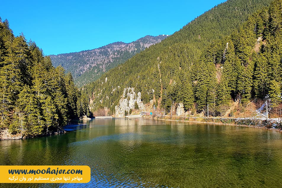 گول 14 مهاجر سیر ایرانیان