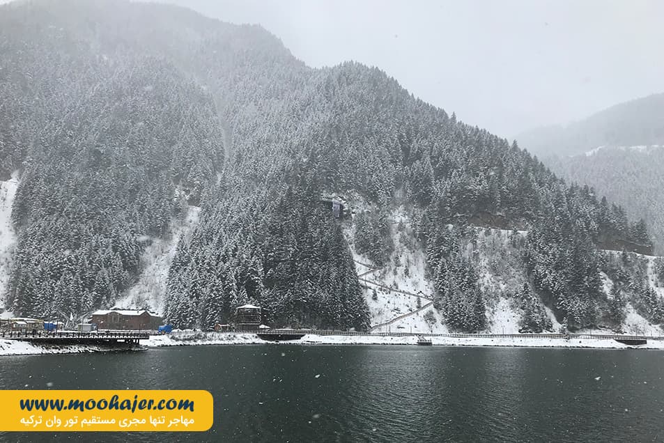 گول 15 مهاجر سیر ایرانیان