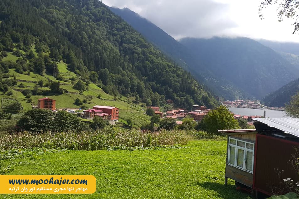 گول 16 مهاجر سیر ایرانیان