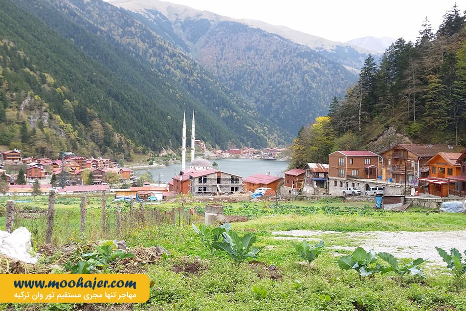 گول 17 مهاجر سیر ایرانیان