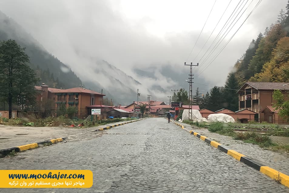 گول 19 مهاجر سیر ایرانیان