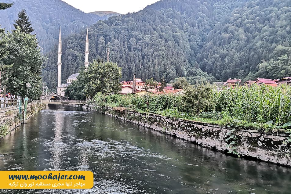 گول 20 مهاجر سیر ایرانیان