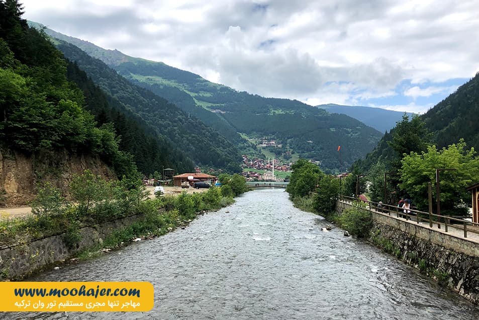 گول 28 مهاجر سیر ایرانیان