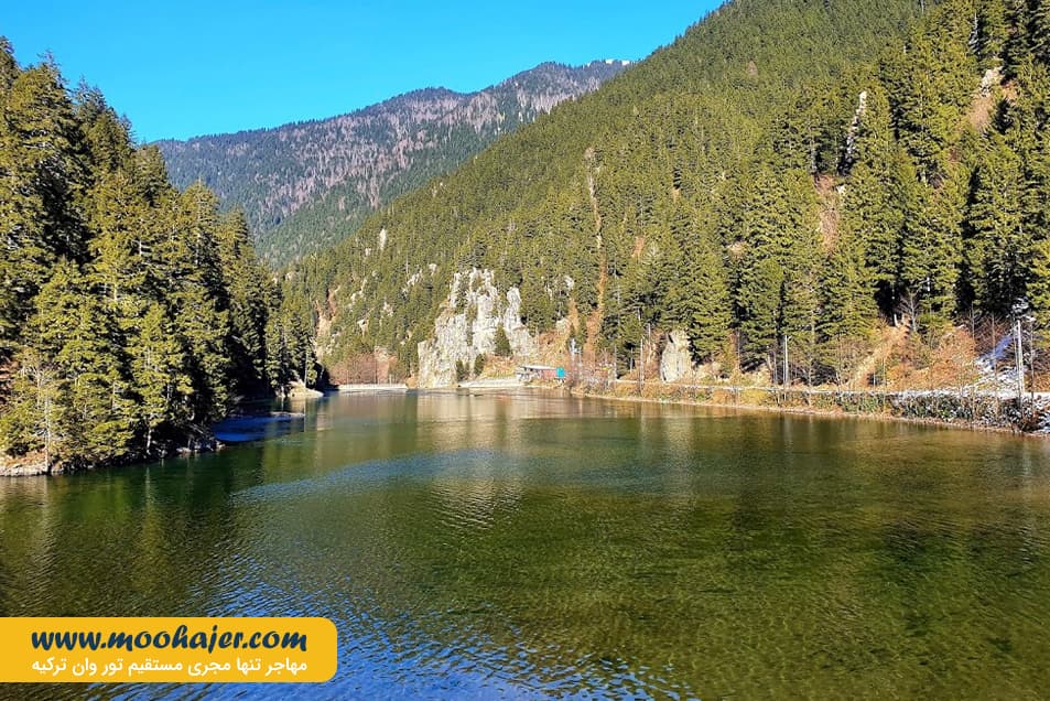 گول 29 مهاجر سیر ایرانیان