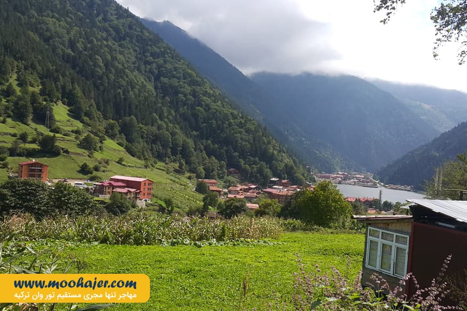 گول 30 مهاجر سیر ایرانیان