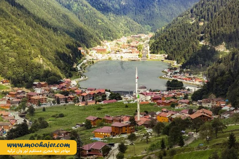 گول 31 مهاجر سیر ایرانیان